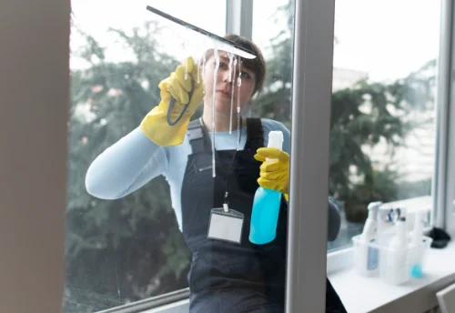 Nettoyage de vitres intérieures et extérieures à Laye